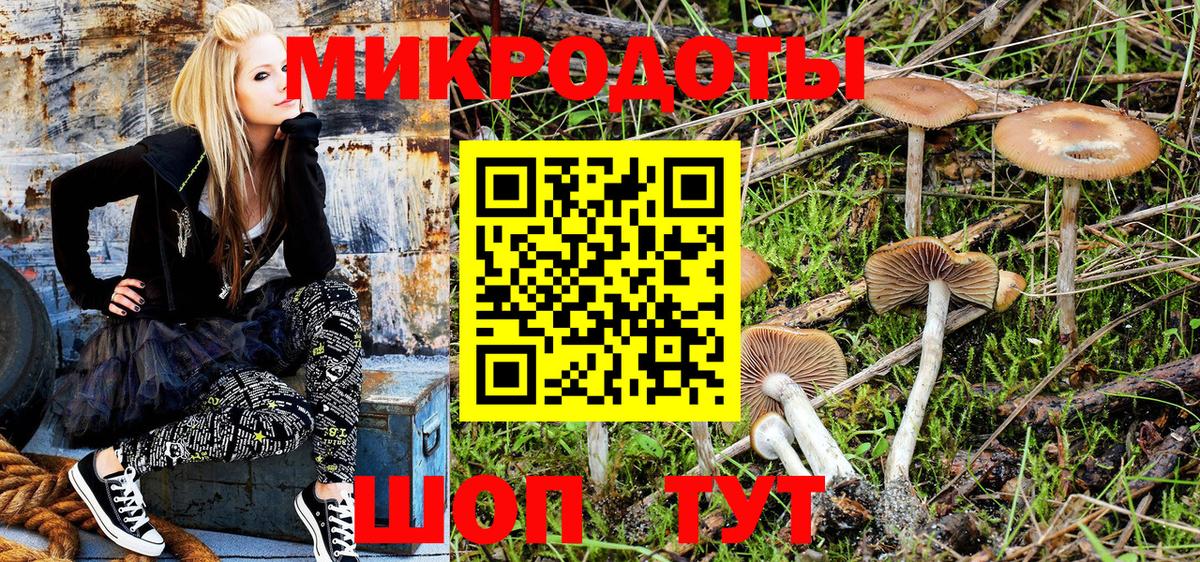 Галлюциногенные грибы MAGIC MUSHROOMS  Псилоцибиновые грибы мухоморы  Бердск  Вход с VPN 